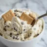 Cottage Cheese Cookie Dough