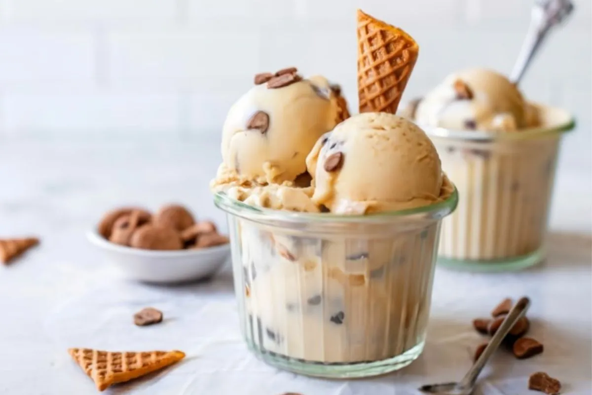 Cookie Butter Ice Cream