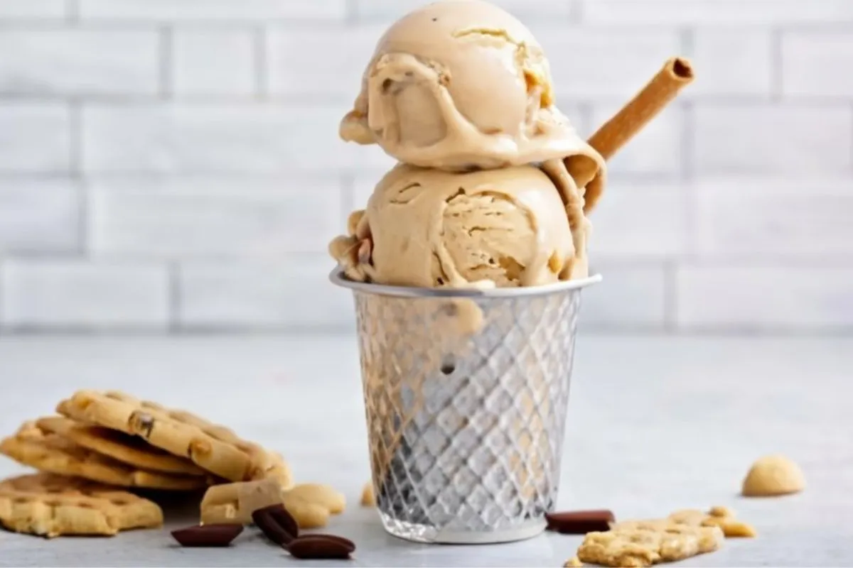 Cookie Butter Ice Cream