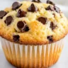 Greek Yogurt Choc Chip Muffins