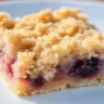 Rhubarb Shortbread Crumble Bars
