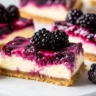 Blackberry Cheesecake Bars