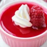 Greek Yogurt Jello Cups