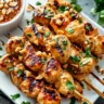 Grilled Asian Chicken Skewers with Honey Garlic Sauce