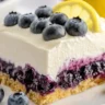 Lemon Blueberry Delight