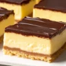 No-Bake Boston Cream Dessert Bars