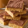 Chocolate Frosted Peanut Butter Bars