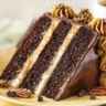 Turtle Chocolate Layer Cake