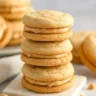 Peanut Butter Sandwich Cookies