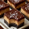 Buckeye Cheesecake Bars Recipe