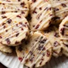 Cranberry Orange Cookies