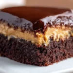 Chocolate Peanut Butter Cake