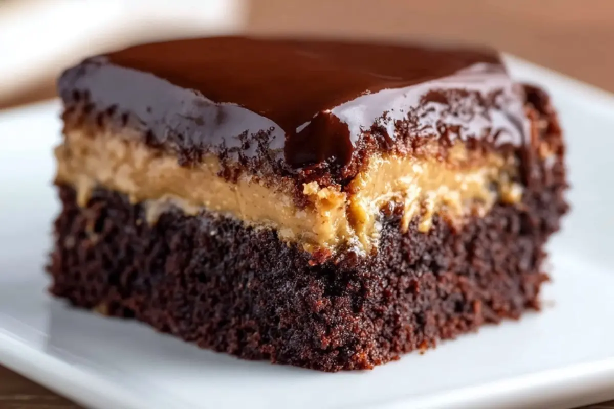 Chocolate Peanut Butter Cake