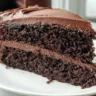 Cocoa Mayonnaise Cake