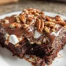 Mississippi Mud Cake